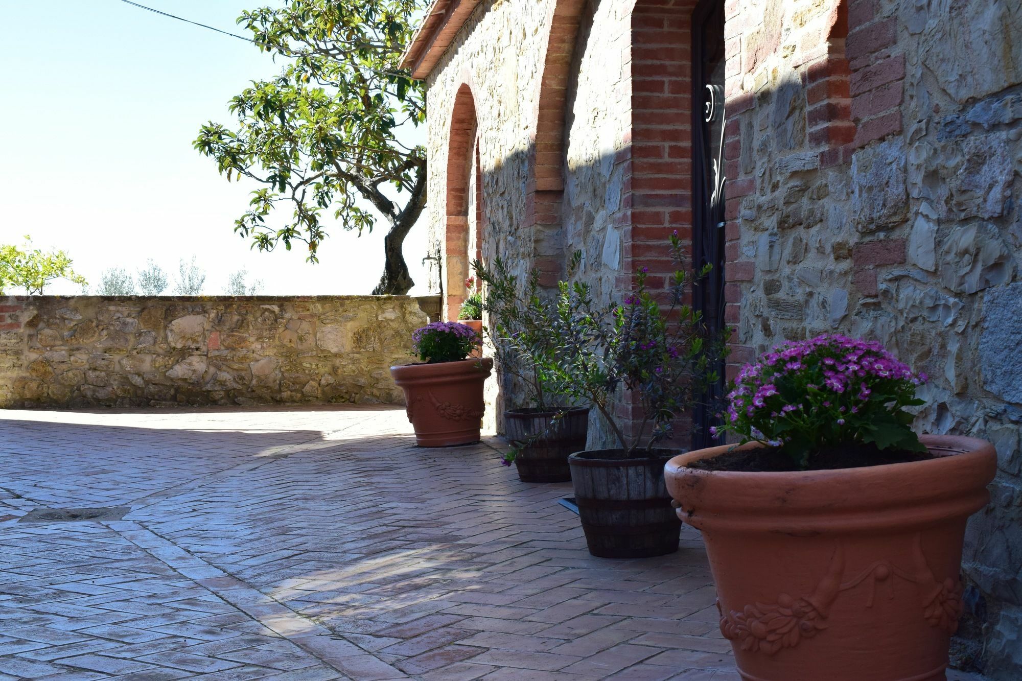 Agriturismo Amina, Winery & Hiking Vagliagli Extérieur photo