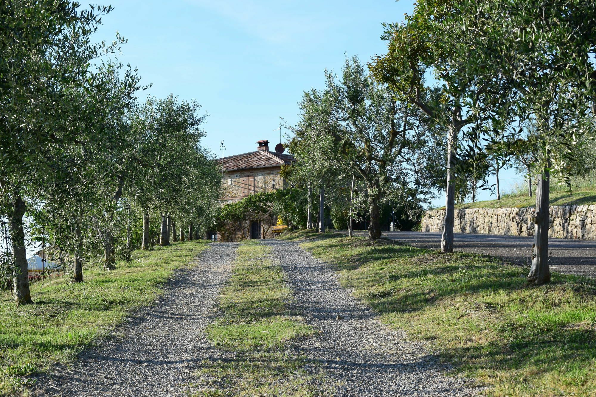 Agriturismo Amina, Winery & Hiking Vagliagli Extérieur photo